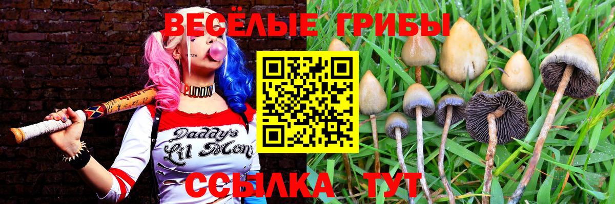 Галлюциногенные грибы GOLDEN TEACHER  как найти закладки  Миасс  Псилоцибиновые грибы Psilocybe  Вход с VPN 
